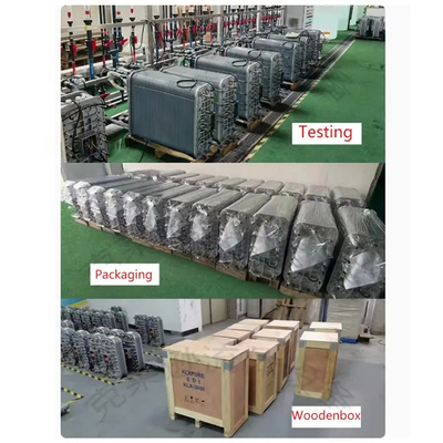 High temperature series EDI Stacks LX-HD-500 With Disinfection Time 1.5 Hours