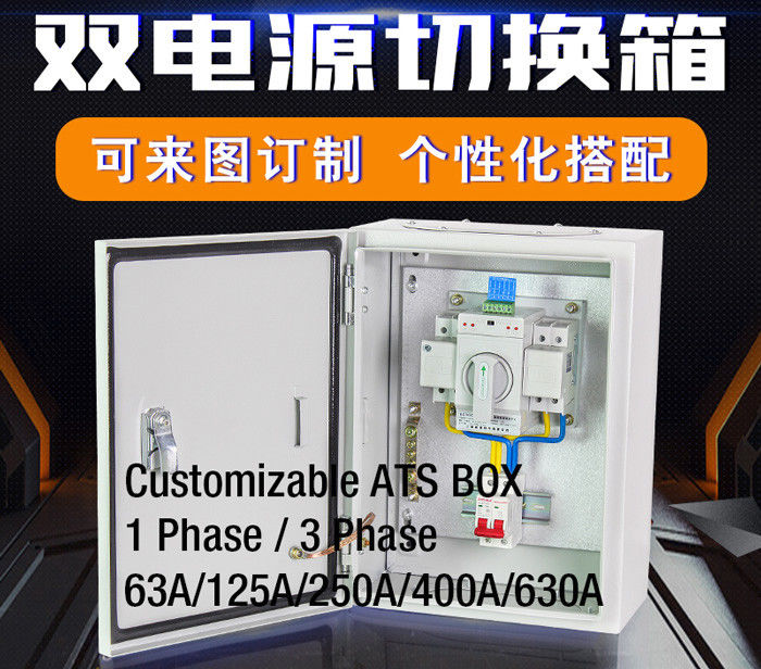 Compact Single Phase Automatic Transfer Switch ATS Box Waterproof Wall - Mount 2 Pole 63A  400V