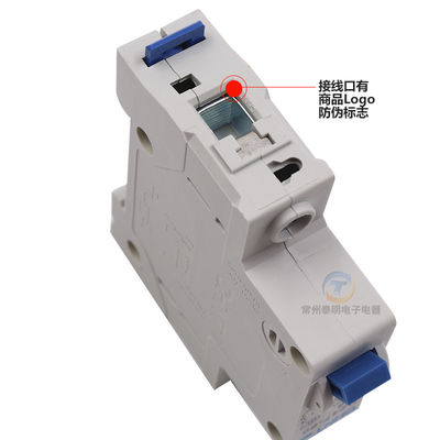 Chint DZ47-60 Miniature Circuit Breaker 6~63A, 80~125A, 1P,2P,3P,4P for Circuit Protection AC220, 230V, 240V Use
