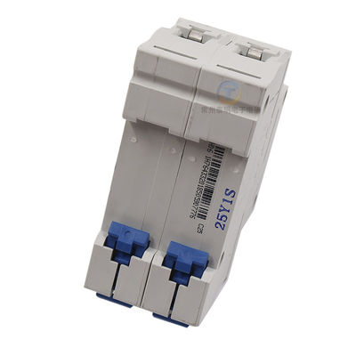 Chint DZ47-60 Miniature Circuit Breaker 6~63A, 80~125A, 1P,2P,3P,4P for Circuit Protection AC220, 230V, 240V Use