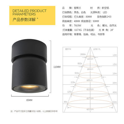 Kitchen LED Ceiling Spotlights , Nordic LED Ceiling Downlights Aisle Surface Mounted